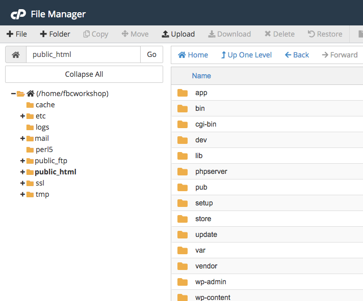 How to Install Magento eCommerce Software for Your Business