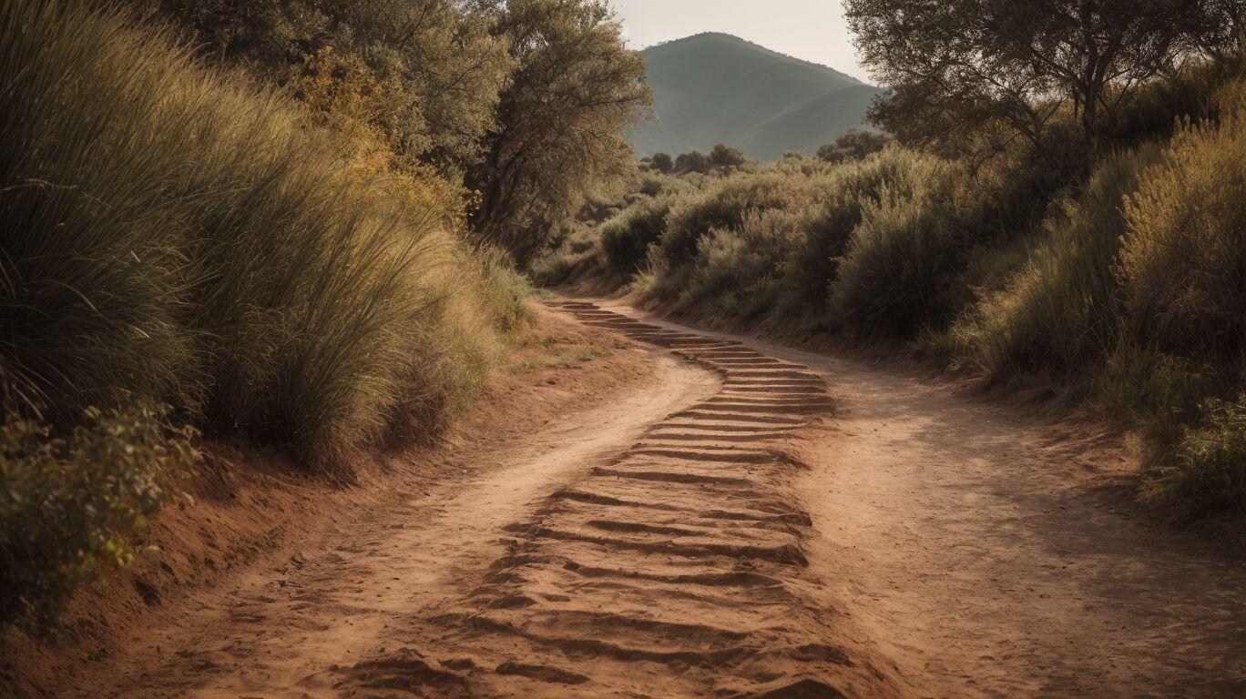 Why Would Someone Migrate to a New Domain? - Migrating to a New Domain: WordPress Website Migration Guide