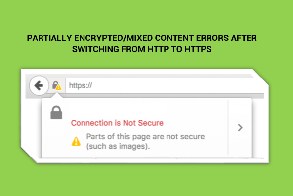 SSL Partially Encrypted