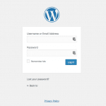 wordpress-website-3