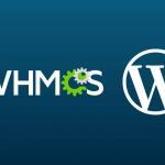 darrel-wilson-whmcs-wordpress-tutorial