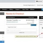 transfer-your-domain-name-step4-checkout