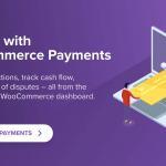 WooCommerce Payments is a native payment solution that allows you to securely accept payments on your website