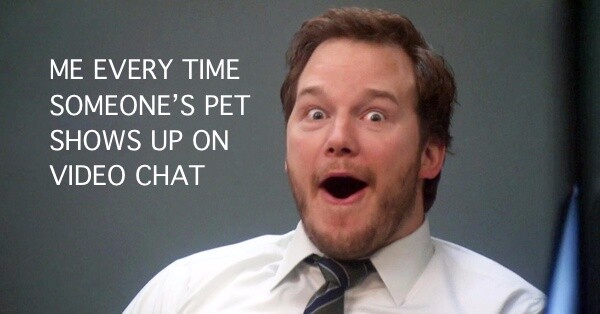 "ME EVERY TIME SOMEONE"S PET SHOWS UP ON VIDEO CHAT" caption with a picture of the excited face of Andy from Parks & Recreation, an American television series. 