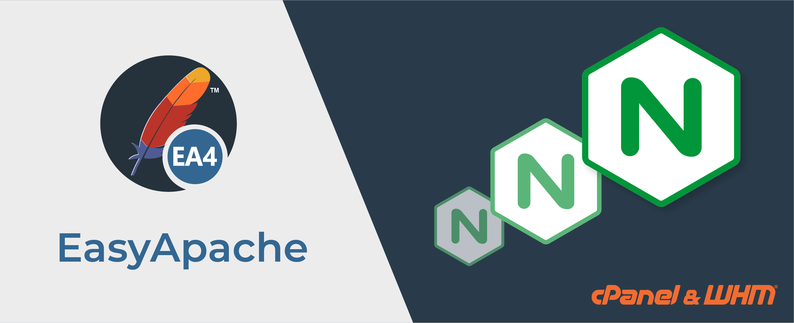 nginx-levels-up