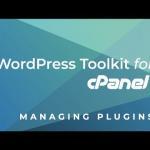 How to Install Wordpress Themes and Plugins Using WordPress Toolkit - Hosting Tutorials